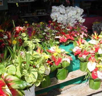 Hilo Farmers Market